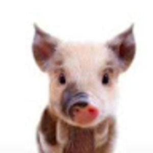 Meet your Posher, Siobhan